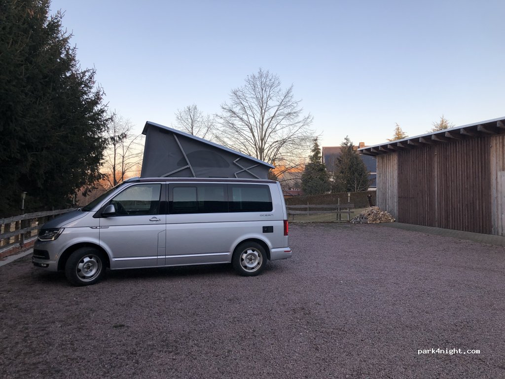 Alpakas am Nonnenwald — foto