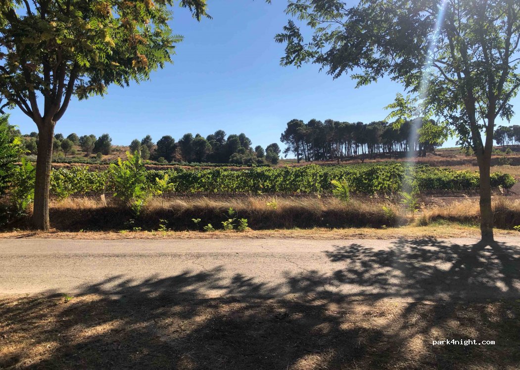 (31261) Andosilla - Carretera del Ebro — foto 2