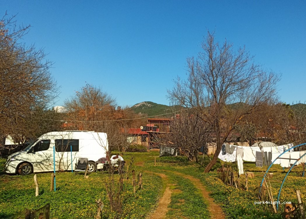Kayaköy Jungle Camping — foto 2