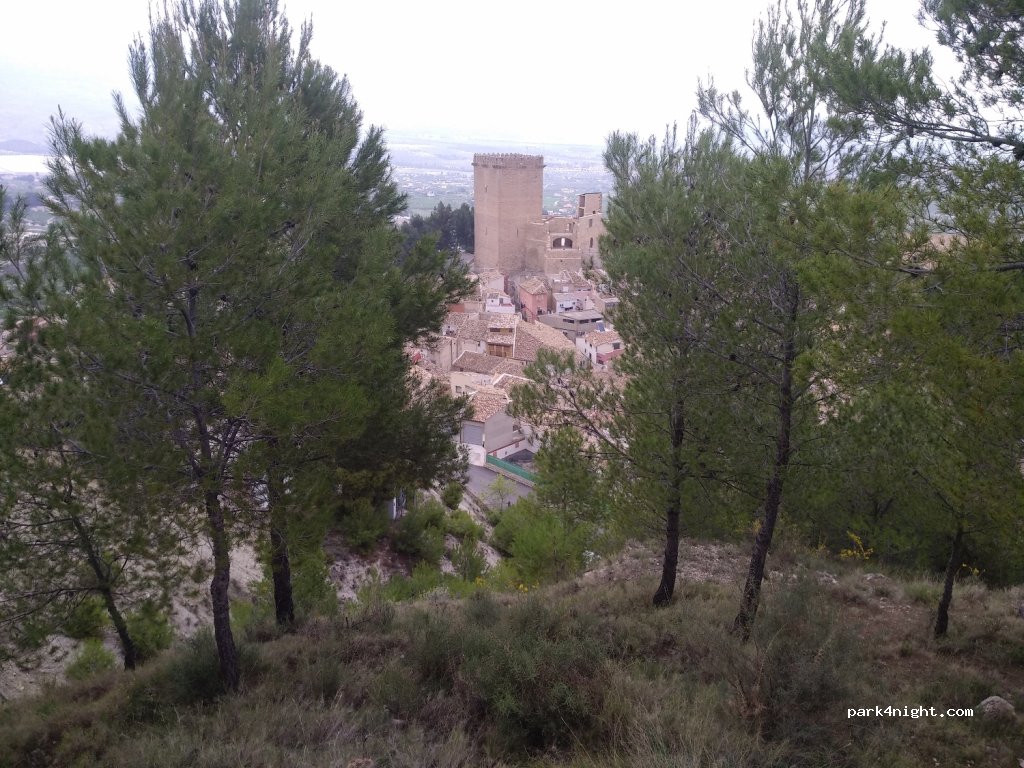 (30440) Moratalla - 66 Calle Inocencio Rodríguez — foto 3