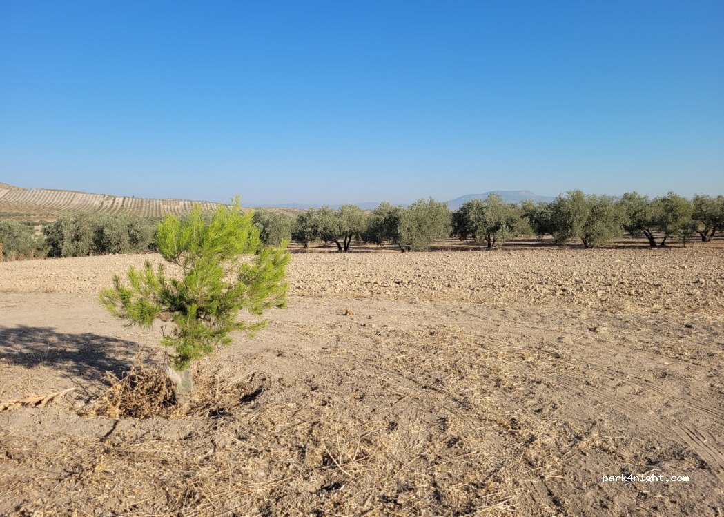 (18329) Chimeneas - GR-3402 — foto 3