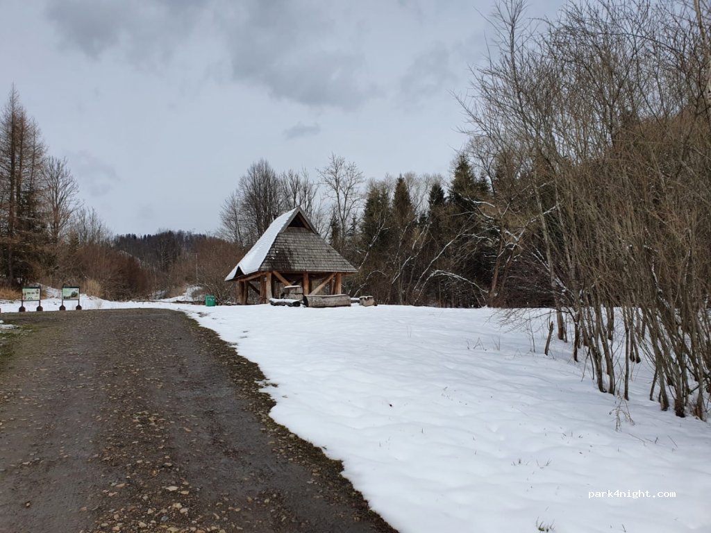 (38-607) Buk - — foto