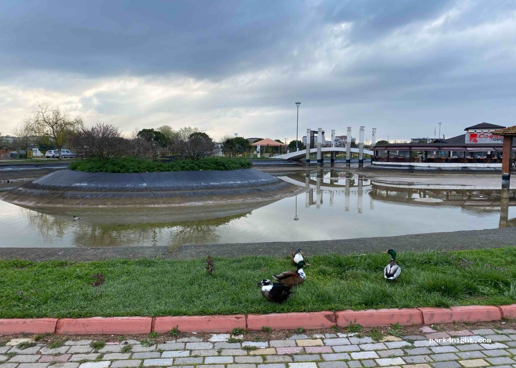 (16700)  - Bursa Çanakkale Yolu — foto