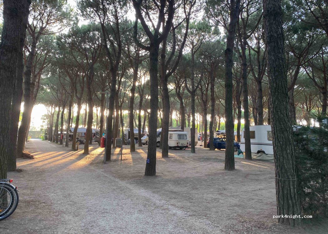 Florenz Open Air Resort — foto