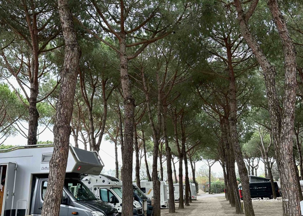 Florenz Open Air Resort — foto 3