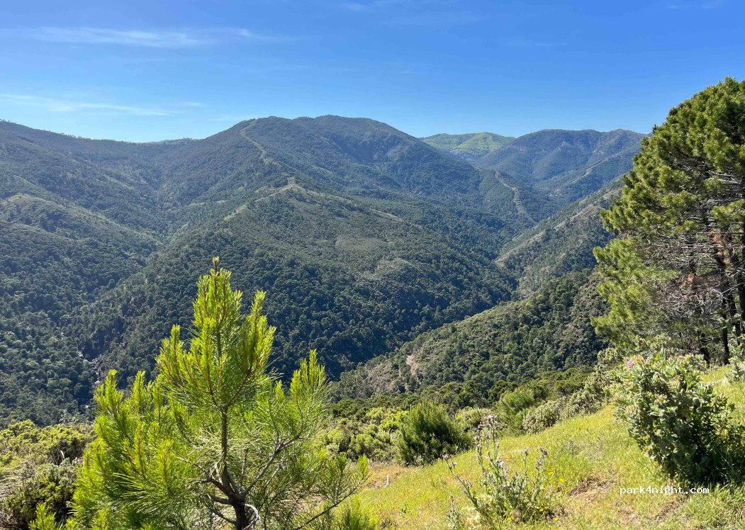 (29679) Benahavís - Carretera de Ronda — foto 3