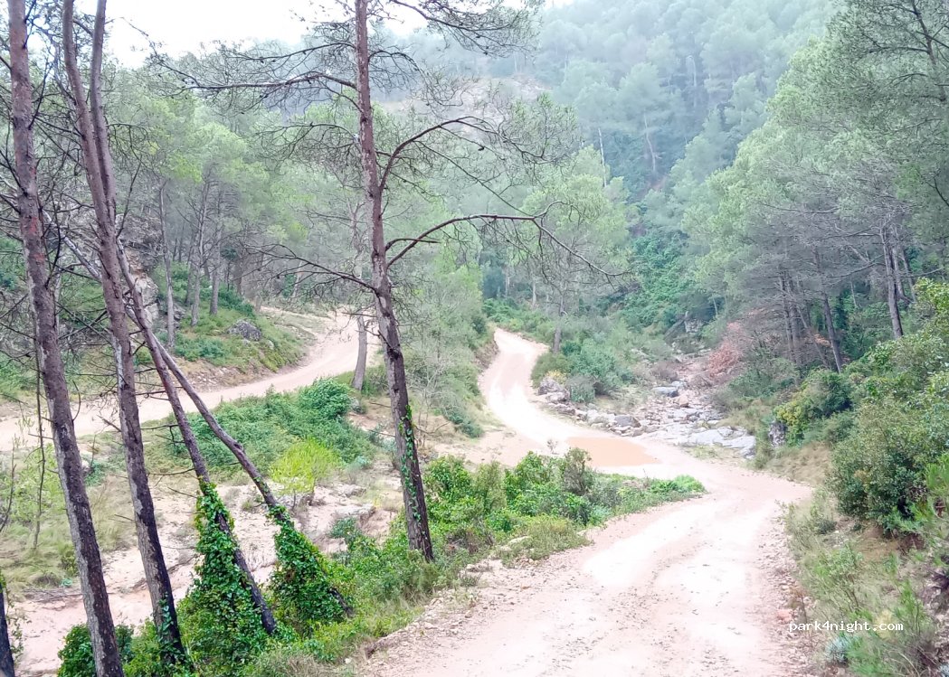 (08732) Castellví de la Marca - Unnamed Road — foto 5