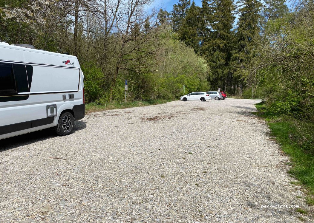 (85630) Höhenkirchener Forst - Grasbrunner Geräumt — foto 2