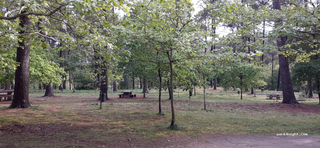 (36313) Vigo - Camiño Área do Lecer — foto 3