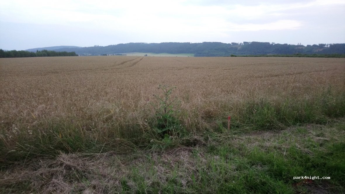 (507 58) Mlázovice - Unnamed Road — foto 3