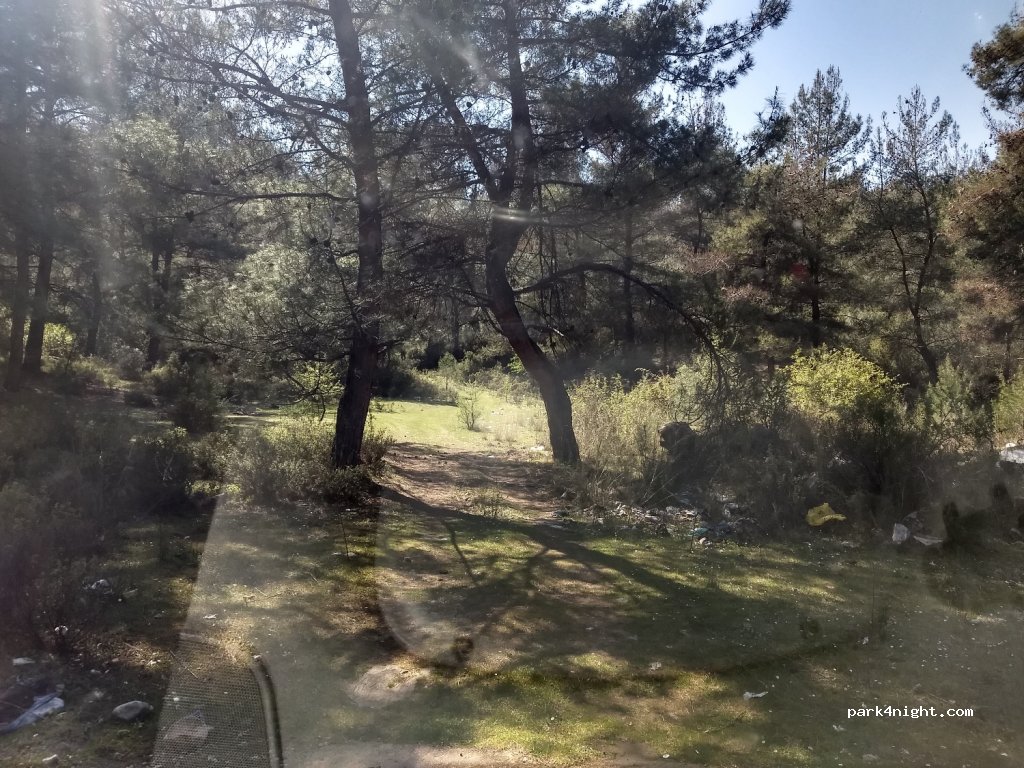 (48200)  - Muğla Bodrum Yolu — foto