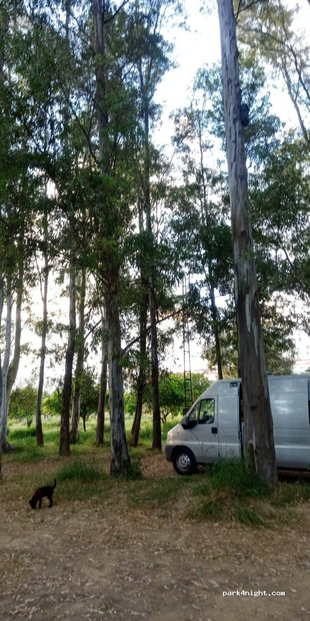 (29580) Cártama - 2 Calle Robles — foto 3