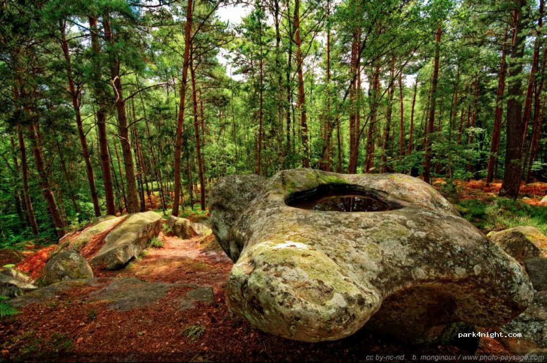 (77300) Fontainebleau - Route du Chaos d'Apremont — foto 2