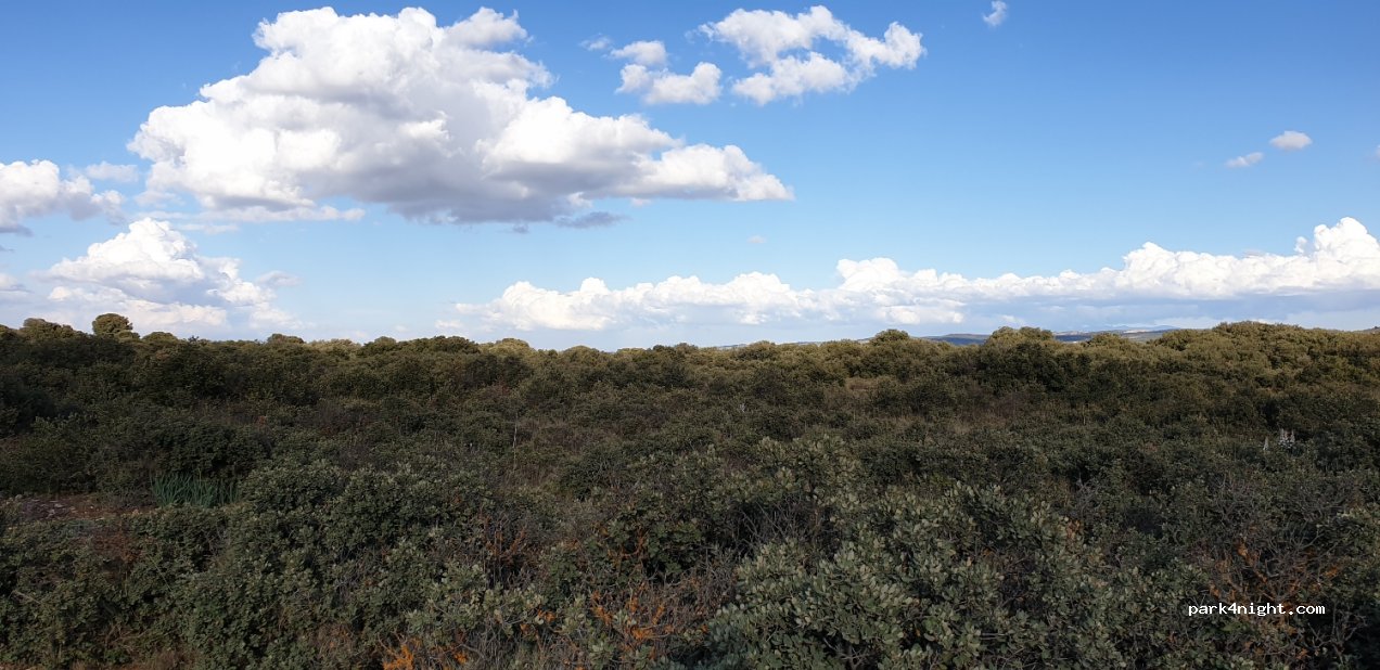 (18561) Montejícar - Unnamed Road — foto