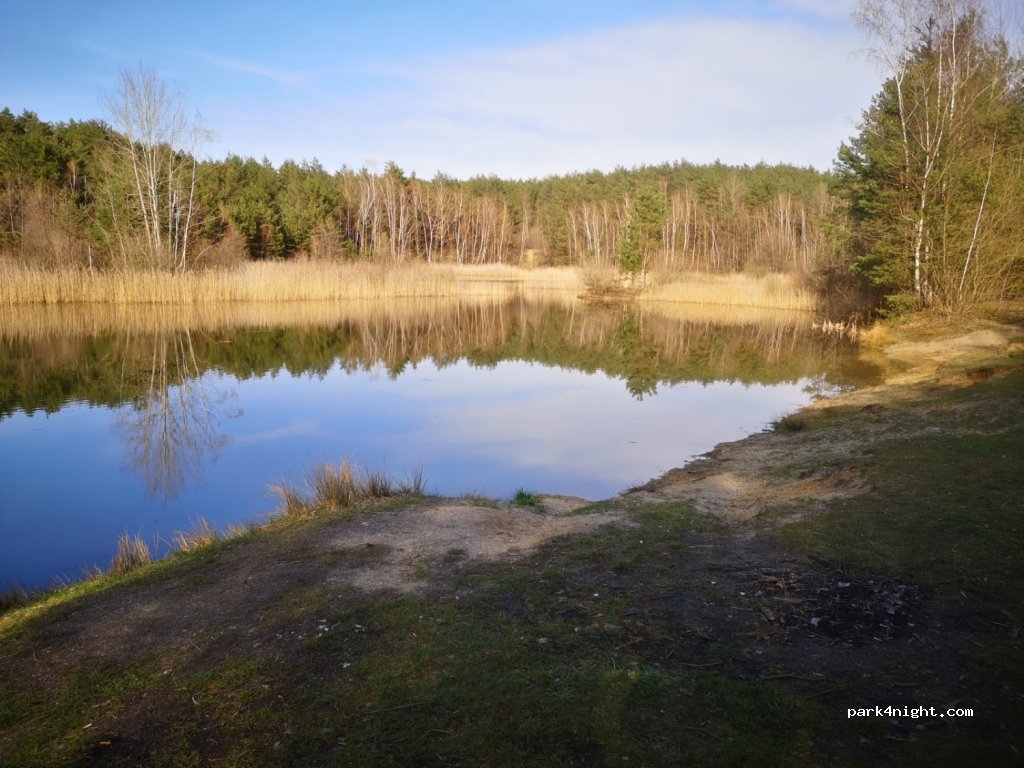 (03058) Neuhausen/Spree - Unnamed Road — foto