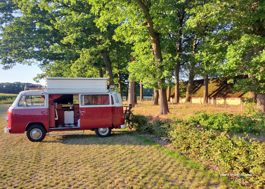 (2323) Hoogstraten - 41 Kolonie — foto 3