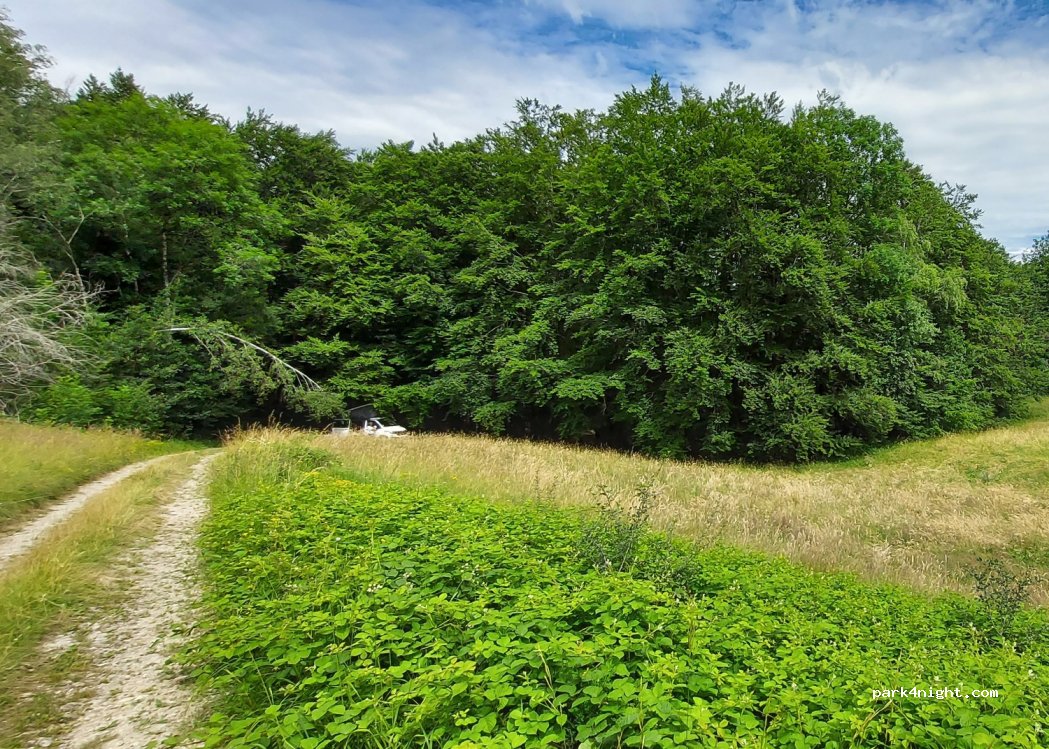 (01410) Champfromier - Unnamed Road — foto 3