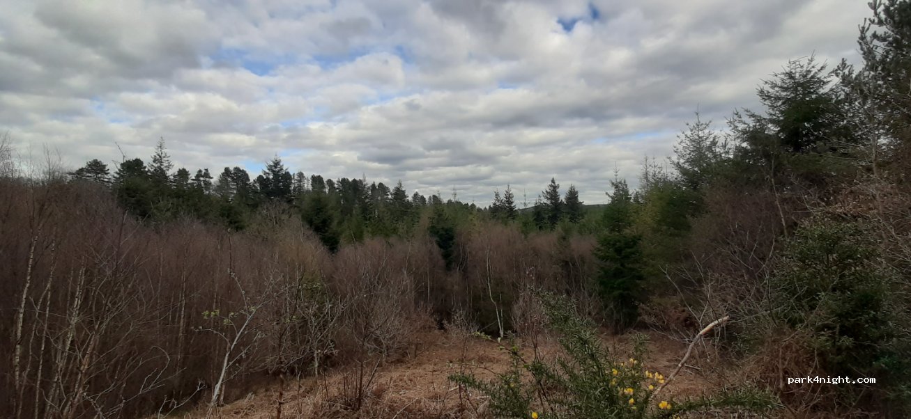 (NE39 2AG)  - Chopwell Woods Road — foto