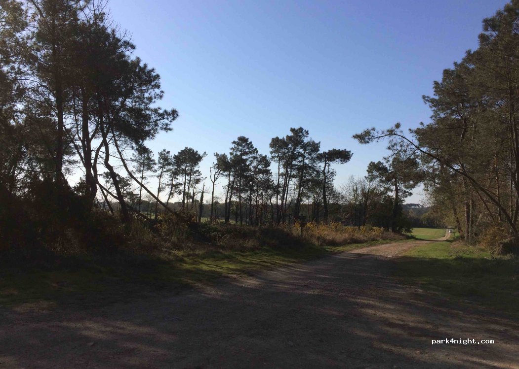 (56220) Saint-Jacut-les-Pins - Unnamed Road — foto