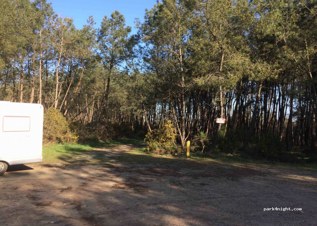 (56220) Saint-Jacut-les-Pins - Unnamed Road — foto 2