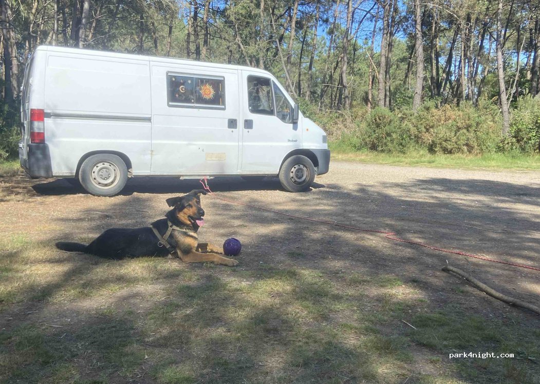 (56220) Saint-Jacut-les-Pins - Unnamed Road — foto 5