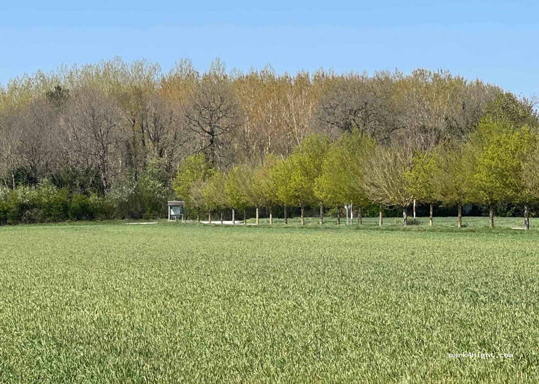 (37360) Saint-Antoine-du-Rocher - Unnamed Road — foto