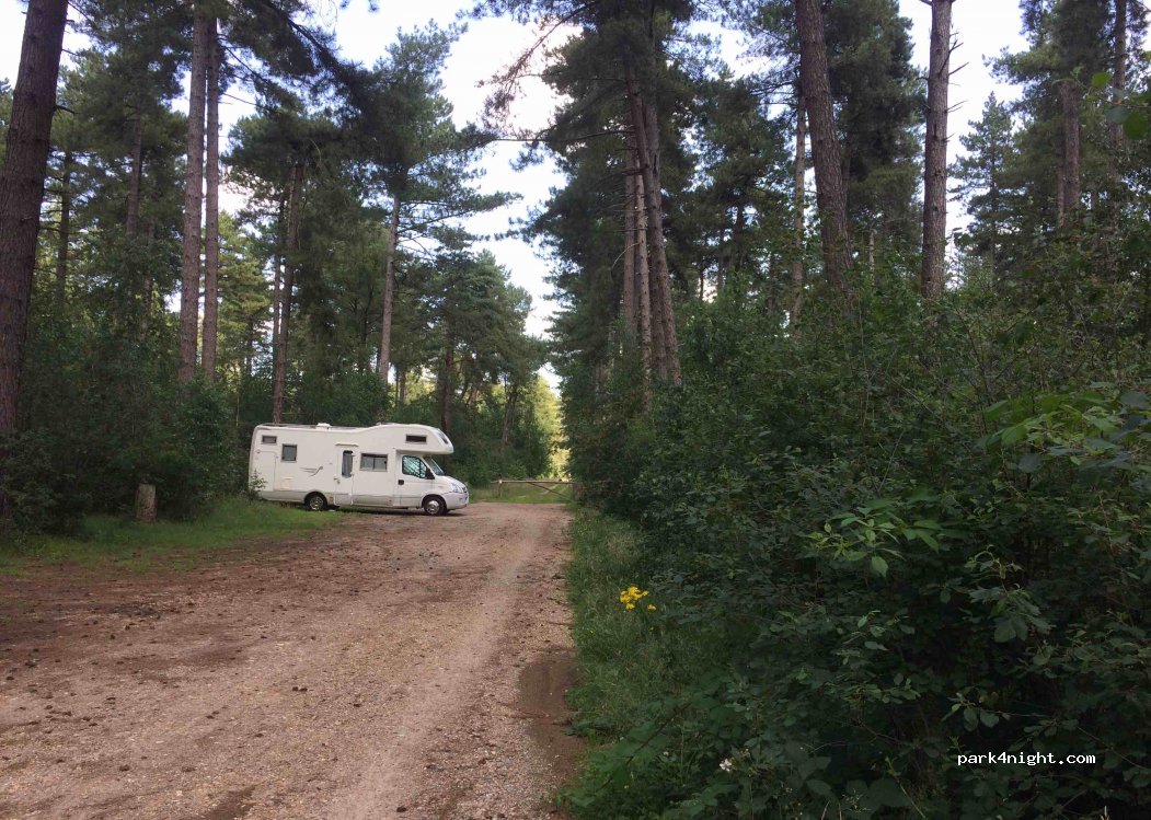 (2370) Arendonk - Mierdseweg — foto