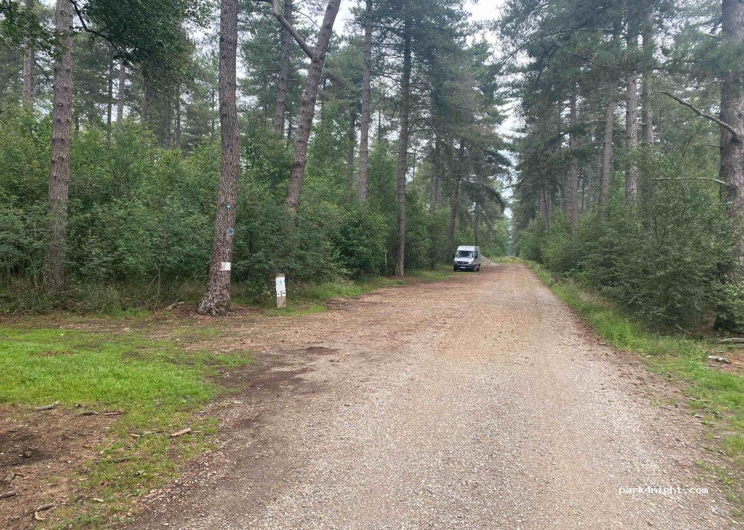 (2370) Arendonk - Mierdseweg — foto 2