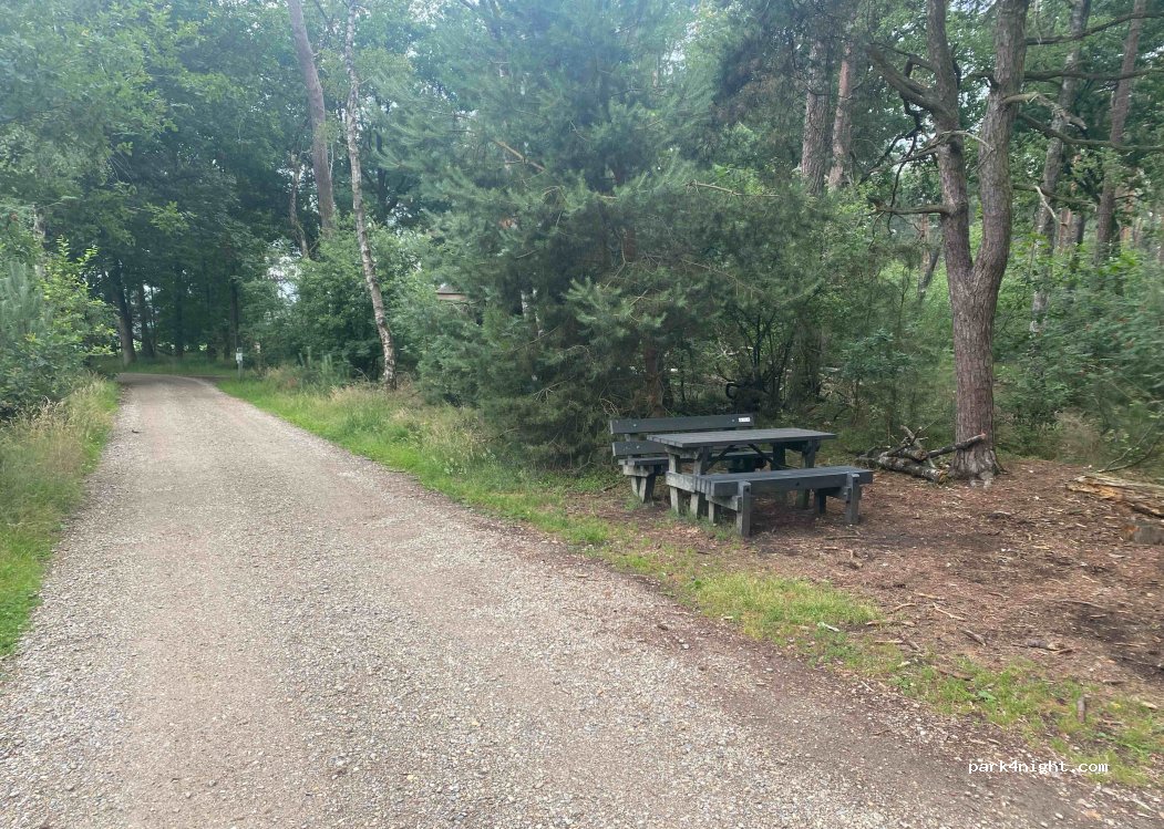(2370) Arendonk - Mierdseweg — foto 3