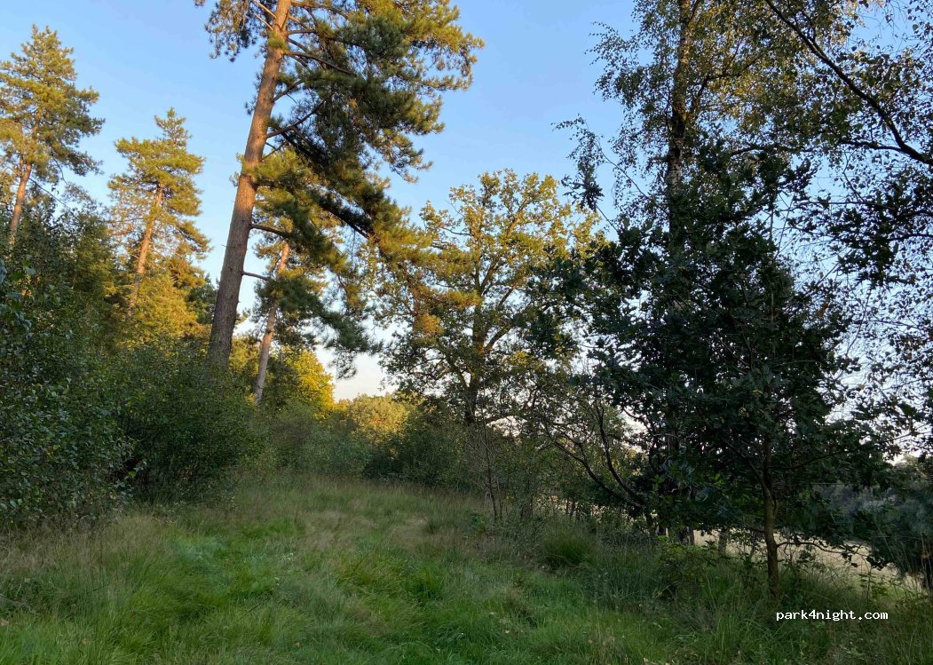 (2370) Arendonk - Mierdseweg — foto 4