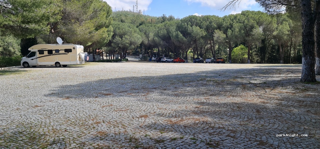 (35920) Selçuk - 294 Meryem Ana Yolu — foto 2