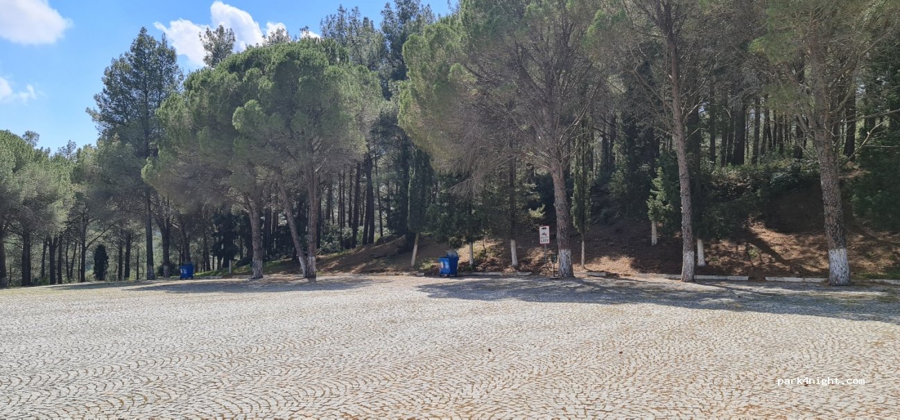 (35920) Selçuk - 294 Meryem Ana Yolu — foto 3
