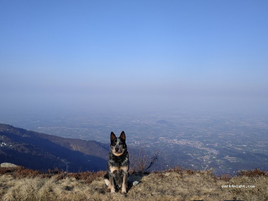 (12031) Bagnolo Piemonte - Via Cave — foto