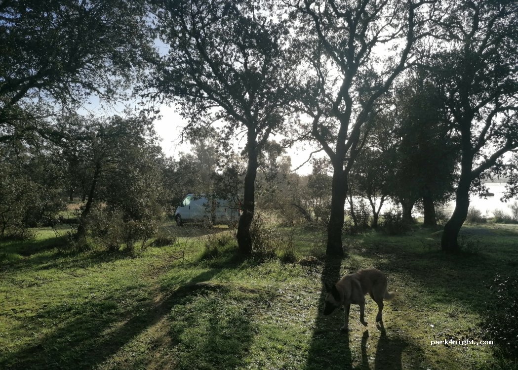 (10164) Cáceres - CC-142 — foto 2