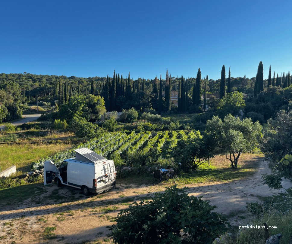 Camperstop Vineyard — foto