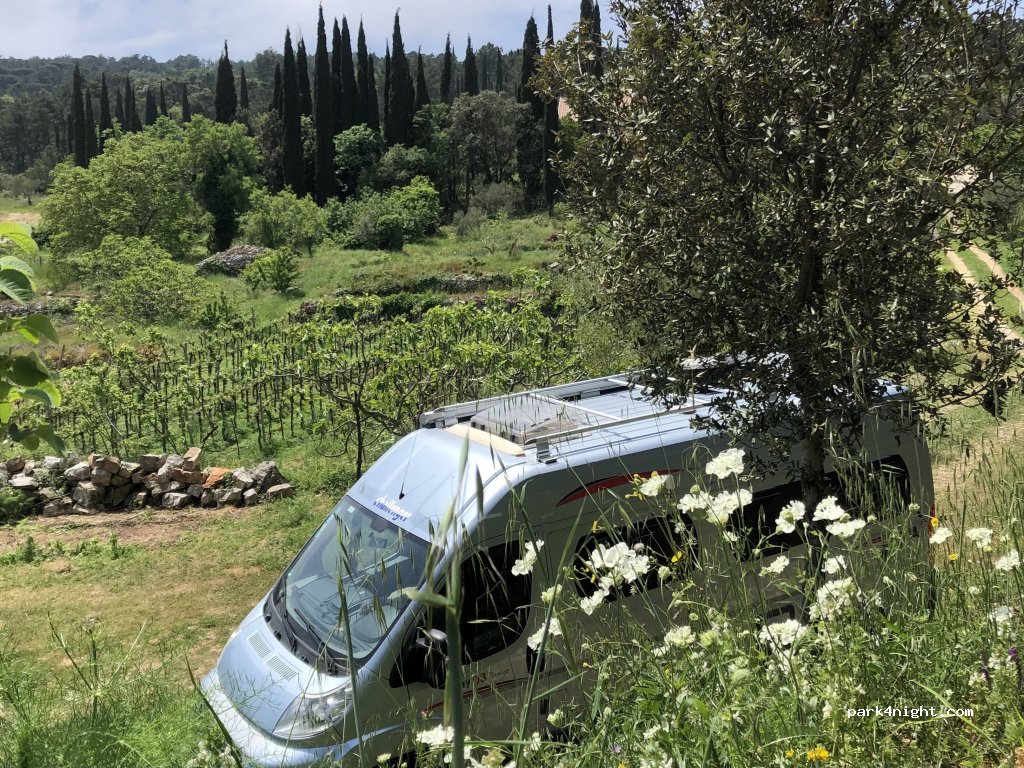 Camperstop Vineyard — foto 3