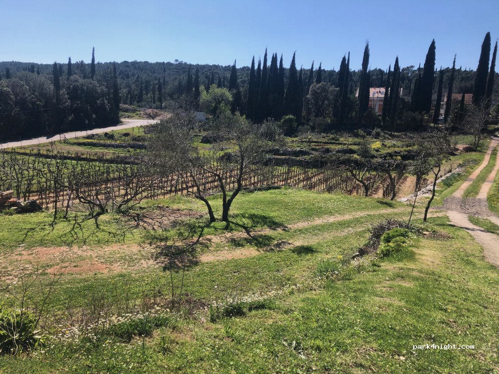 Camperstop Vineyard — foto 5