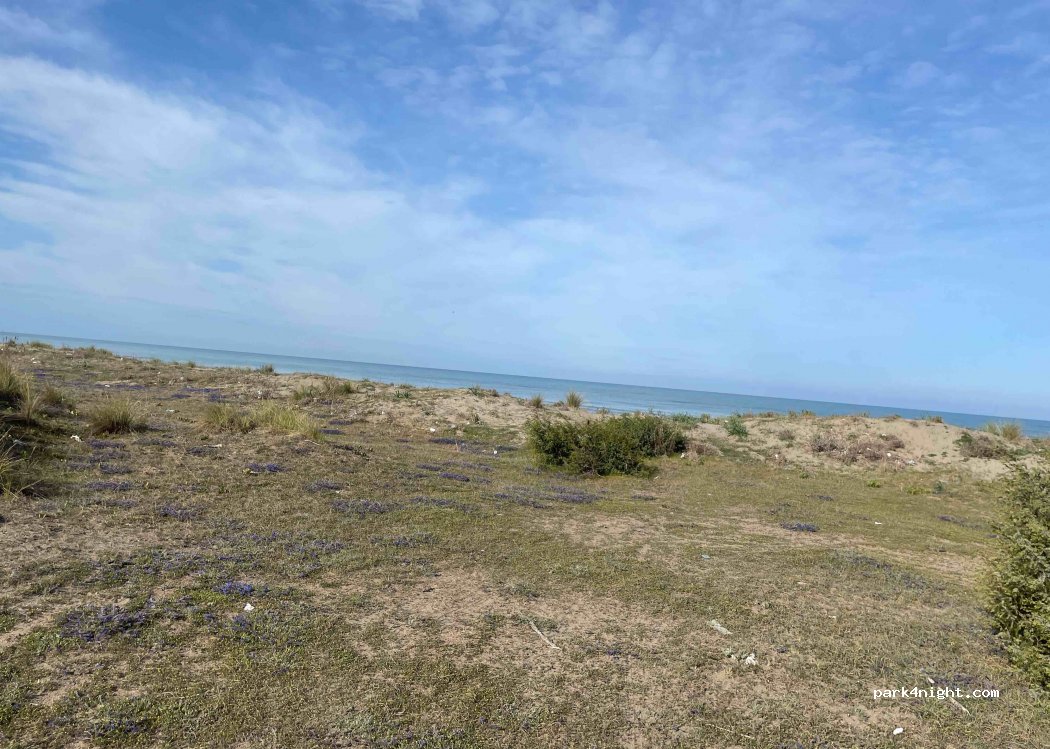 () Spille - Rruga e Pishave — foto 2