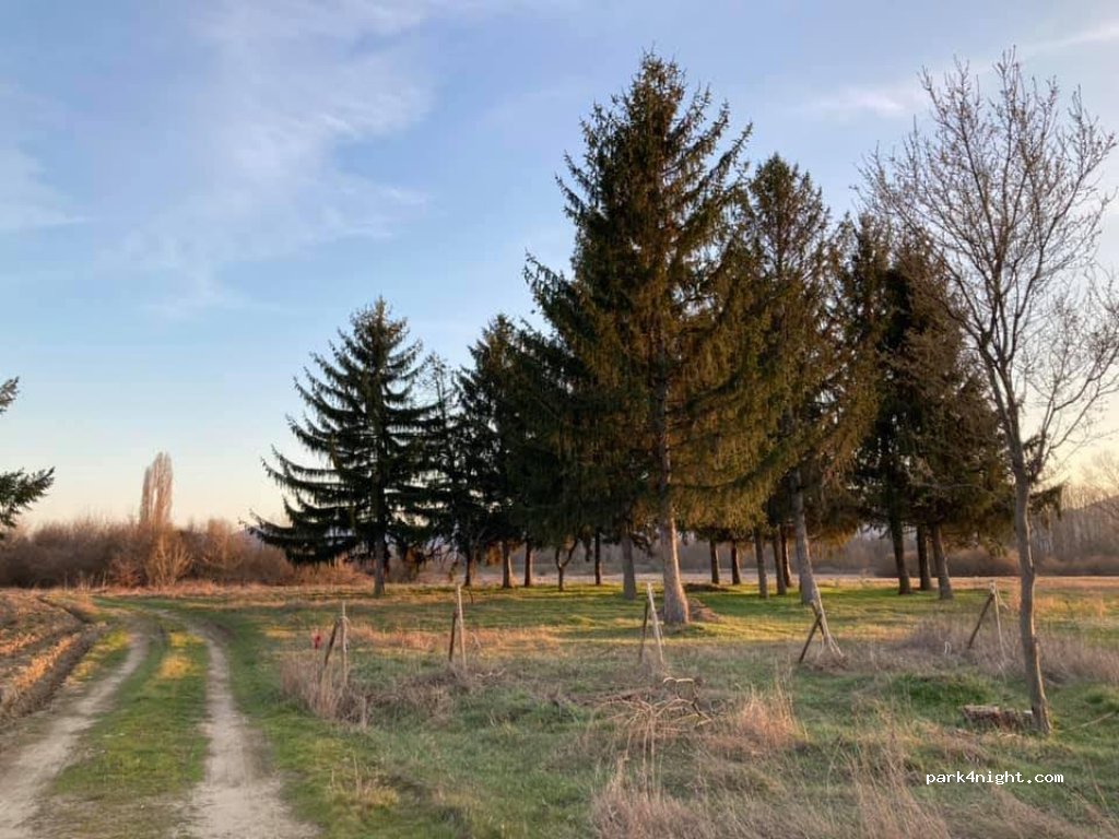 Orchard Thermal Camping — foto 2