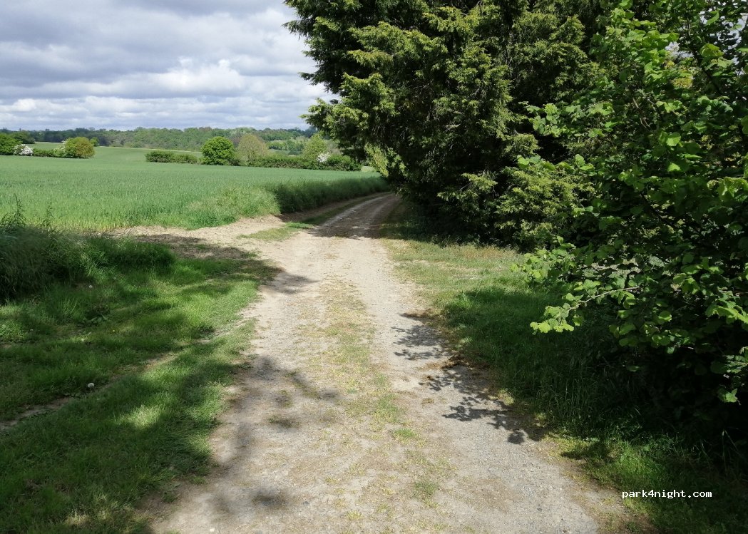 (22270) Dolo - Unnamed Road — foto 3