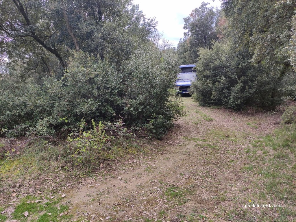 (08183) Castellcir - Camí de Santa Coloma Sasserra — foto 3