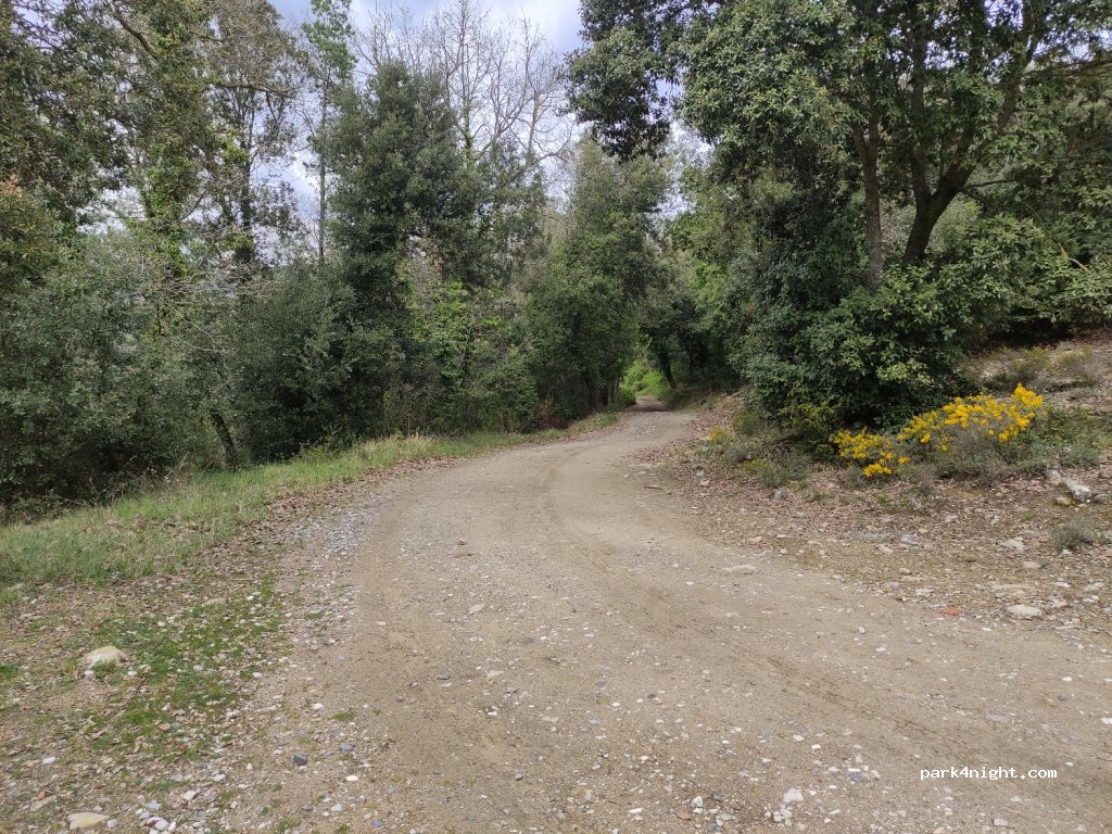 (08183) Castellcir - Camí de Santa Coloma Sasserra — foto 4