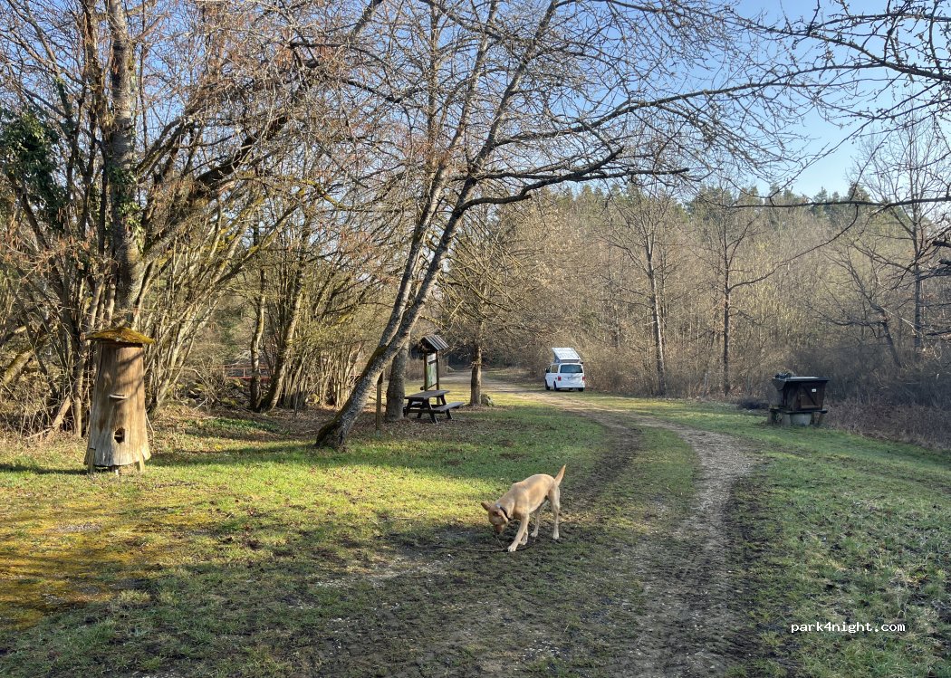 (91257) Pegnitz - Körbeldorfer Weg — foto 5