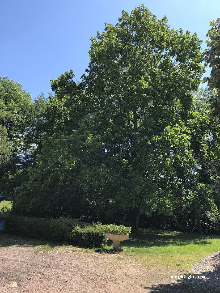 (58110) Tamnay-en-Bazois - D978 — foto 3