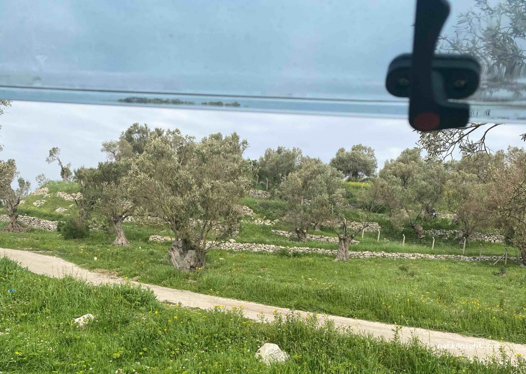 (35980)  - Sahil Yolu Caddesi — foto 3