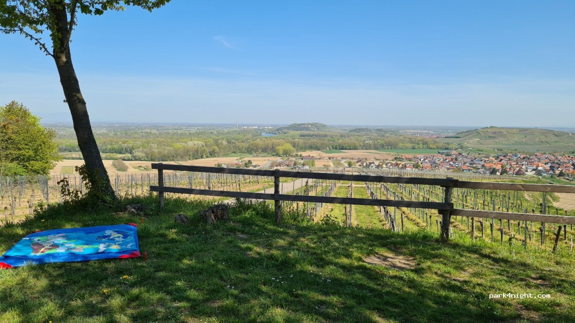 (79361) Sasbach am Kaiserstuhl - Unnamed Road — foto