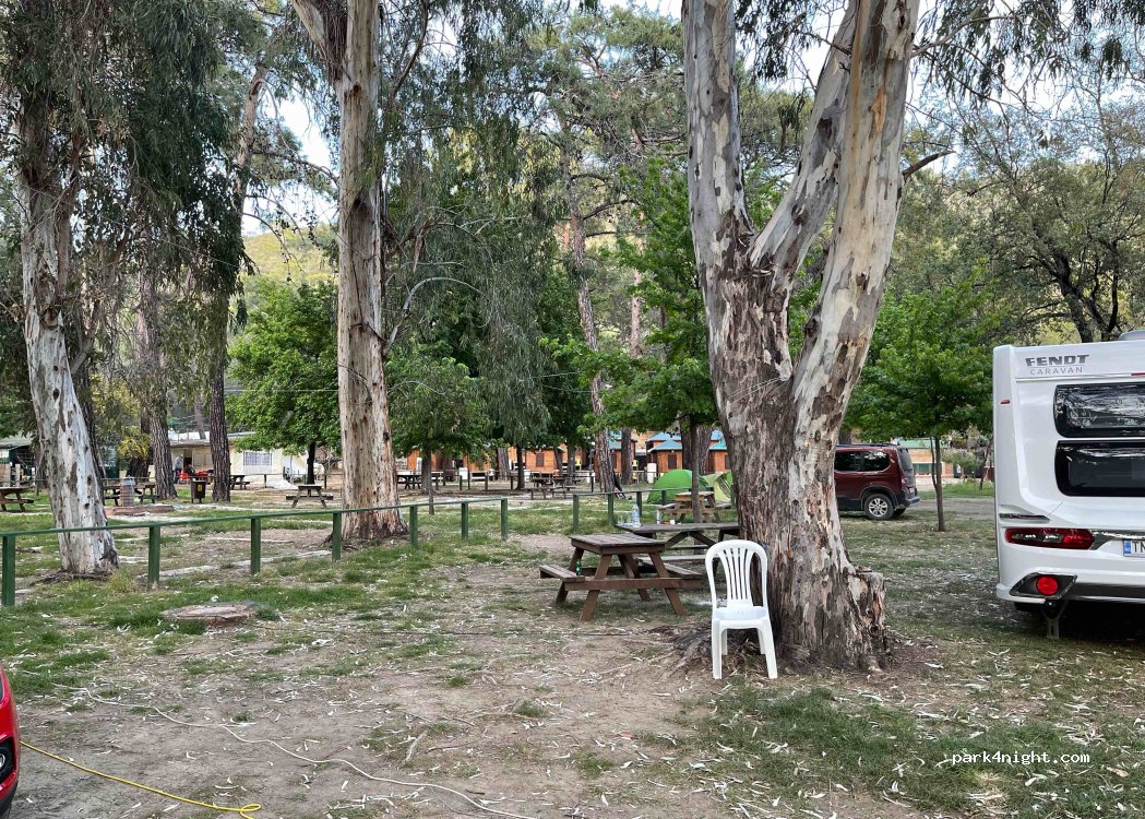 Katrancı Forest Camp — foto