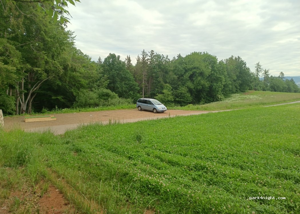 (57-420) Radków - 17 Kolonia Leśna — foto 2