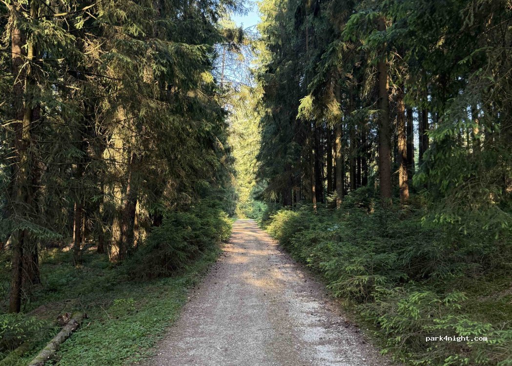 (92318) St. Helena - Unbenannte Straße — foto 5