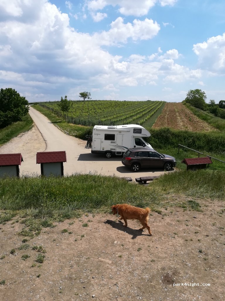 (691 02) Velké Bílovice - Unnamed Road — foto 3